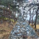 대구 비슬산 참꽃 산행 개화시기 개화 상태 참꽃 축제는 언제