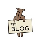 비칠영에스테틱