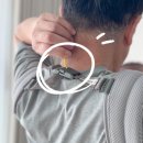 그레이핏 | 허그파파 다이얼핏 MAX 아기띠 라이트 그레이 후기, 신생아부터 쓰기 좋은 이유