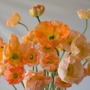 안남로 181 이미지