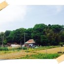 카페세라 이미지