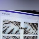 닥터모락 송도점