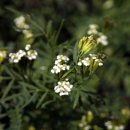 용운산장 이미지