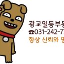 광교일등공인중개사사무소 이미지