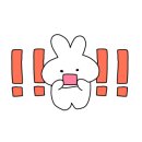 올라하우스