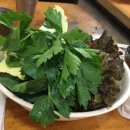 수정식당 Daum카페