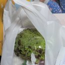 양산 덕계 서창 웅상 족발 추천 맛집 &#34; 족발살롱 &#34;
