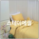 스테이에셀 이미지