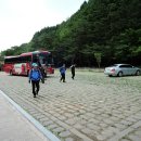 윗대티 등산로 이미지