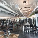 헬스GO 피트니스 이미지