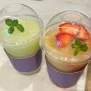 국수나무 춘천장학점 | 26년 벚꽃 데이트 후기🌸 춘천 공지천부터 충주댐까지 당일치기 봄 여행 코스 추천