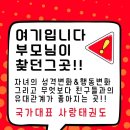 세교 태권도장 이미지