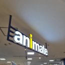 오상도 | 나고야 굿즈샵 훜기