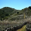 무릉리-8 이미지