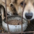 김성광 농장 이미지