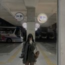 란이즈 네이버블로그