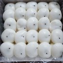 한옥마을 기정떡 이미지