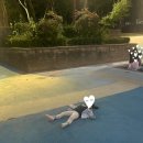 발목 골절 운동화 쇼핑 후기 / 부천 중앙 공원 산책 (뉴발란스, 스케쳐스 착용샷)