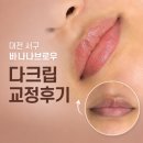 30년 다크립 탈출 도전! 바나나브로우대전 틴트입술 후기