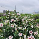 경섭농장 이미지