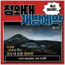 청와대 봄 개방 예약│신청 방법 셔틀버스 동선