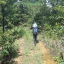 큰고개목장 이미지