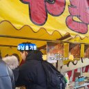 [교토 데이트] 후시미이나리 여우 신사 저녁에 가도 될까 입장료 소요시간 직접 다녀온 후기