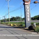 녹차분재로 이미지