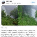 강정동-67 | [자매여행/제주 2일차] 엉또폭포, 문도지오름의 모든 것!(주차, 주소, 말 볼 수 있는 곳😆❗️)