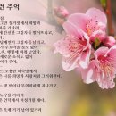 사랑스런추억 이미지