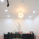 사하라동물병원 이미지