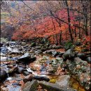 비내린 山寺 ( 갤럭시 S8 ) 이미지