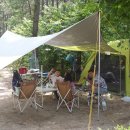 신상농장 이미지