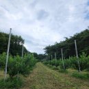 내척농장 이미지