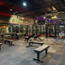 파운드 짐 이미지