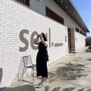 노루목 68 | 오가네 2023