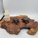 수석농장 이미지