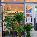 월피공원 주차장 이미지