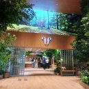 마곡 식물카페 플라워플로우, 내돈내산 후기 위치 메뉴 주차