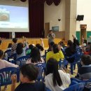 기성초교 이미지