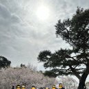 임페리얼골프아카데미 이미지