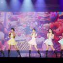 찐이야 이미지