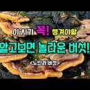 가람목재 이미지