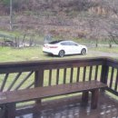 이비농장 이미지