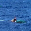 김영희목장 이미지