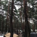 장천마을캠핑장 이미지