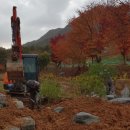 김옥동웰빙찻집 이미지