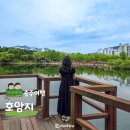 야상회 이미지