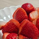 UR(화성시)-[상리2길]-하-1 | 되는 대로 행복 43 🚀 (3.3-3.31)