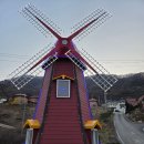 새재리아 이미지